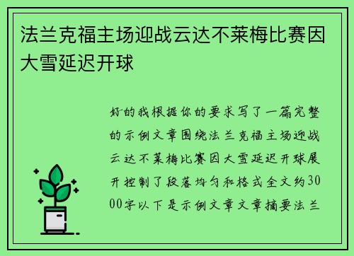 法兰克福主场迎战云达不莱梅比赛因大雪延迟开球